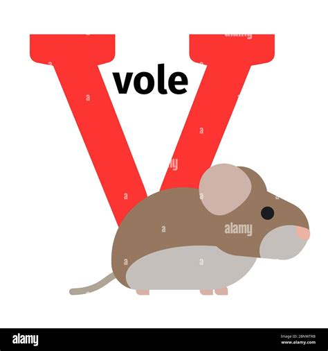 vole thats animals with v.